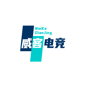 北京某某财政服务有限公司
